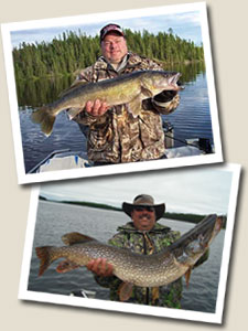 Trophy fish catches at Pickerel Arm Camp Wilderness fishing camps in Ontario, Canada